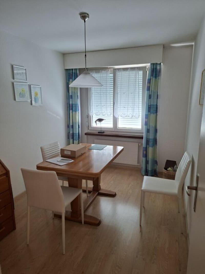 Schöne Wohnung zu fairem Preis (8)