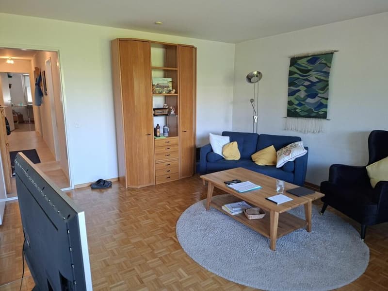 Schöne Wohnung zu fairem Preis (4)