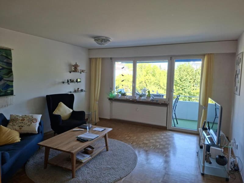 Schöne Wohnung zu fairem Preis (3)