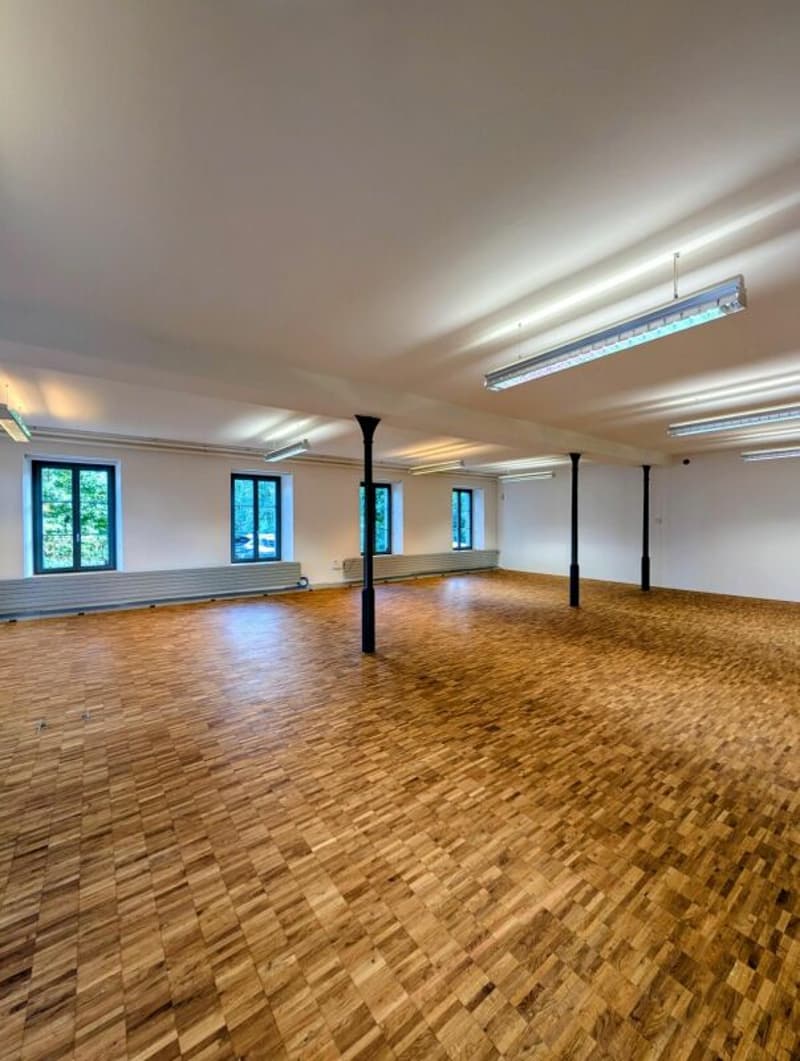 Büro mit Fabrikcharme (2)
