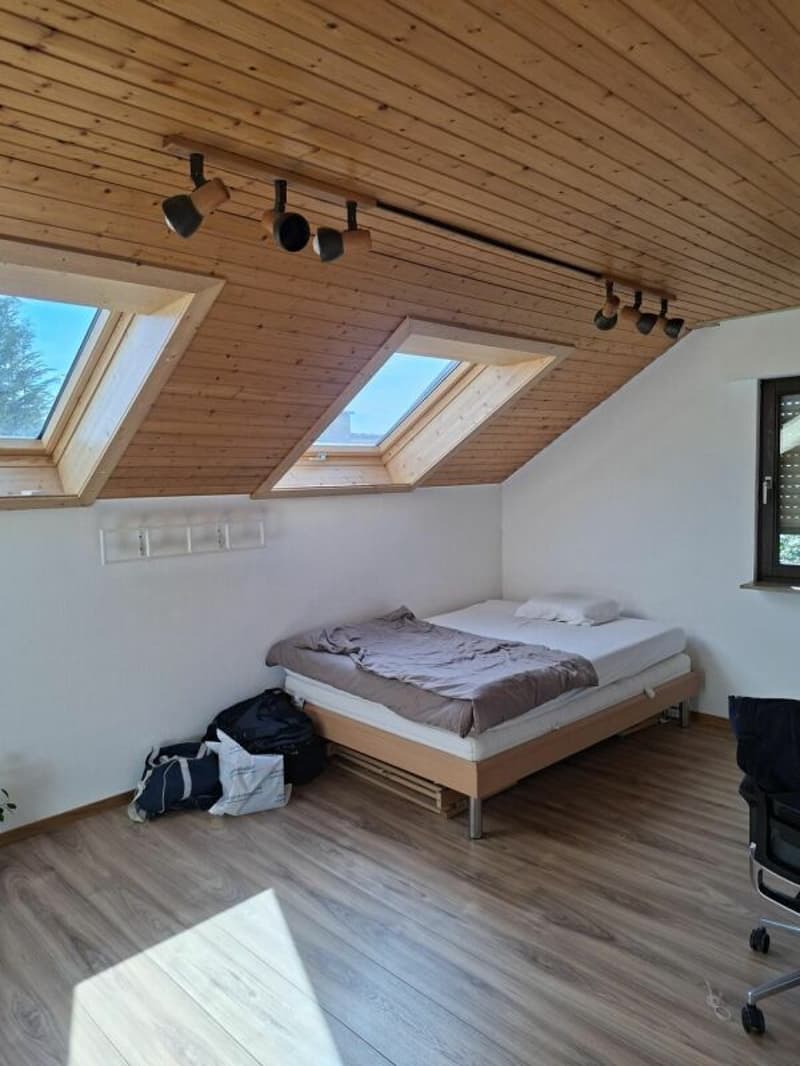 Charmantes Einfamilienhaus mit traumhafter Aussicht (10)