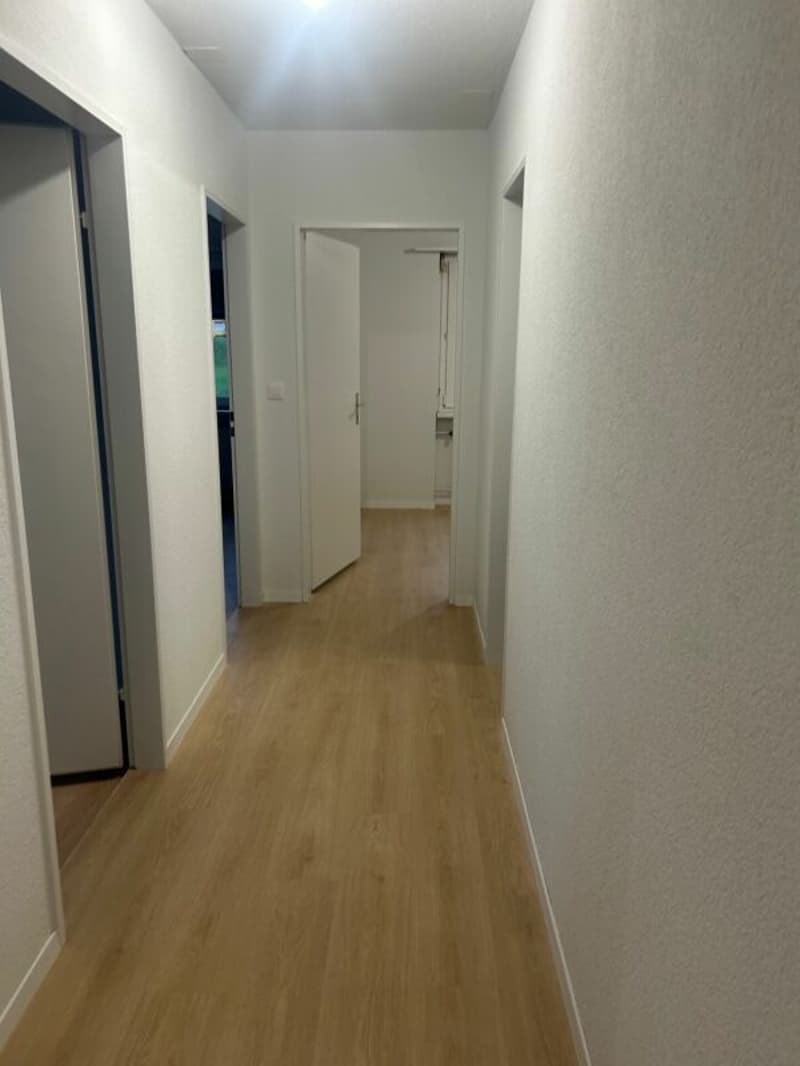 Frisch sanierte 4.5 Zimmerwohnungen sucht neue Bewohner! (3)