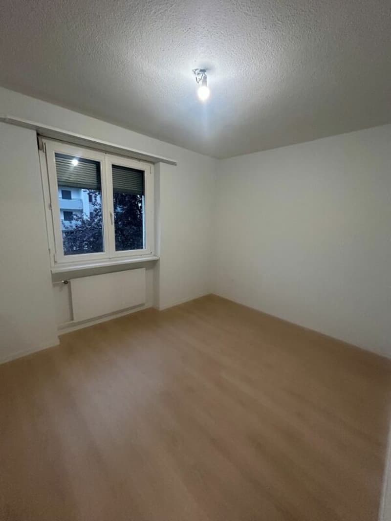 Frisch sanierte 4.5 Zimmerwohnungen sucht neue Bewohner! (5)