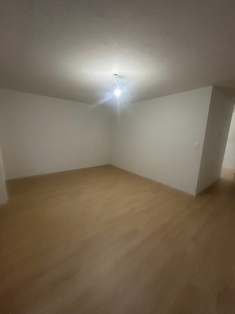 Frisch sanierte 4.5 Zimmerwohnungen sucht neue Bewohner! (4)