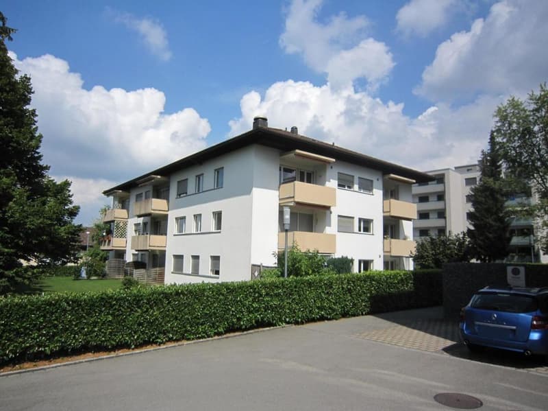 Frisch sanierte 4.5 Zimmerwohnungen sucht neue Bewohner! (6)