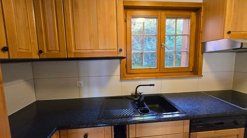 Granite countertop, wooden cabinets, sink, faucet, soap dispenser, double stainless steel sink, dishwasher, wall mounted power outlet, kitchen window