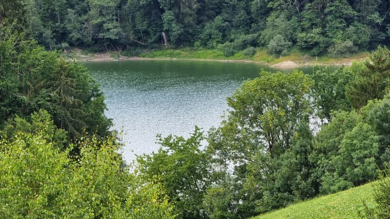 Dans un écrin de verdure. Paysage époustouflant (5)
