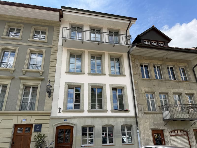 01817 - Local - PLANCHE SUPERIEURE 20 - FRIBOURG (5)