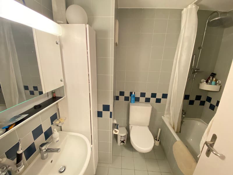 02534 - Appart. 3½ PCES - RUE LOCARNO 6 - FRIBOURG (6)