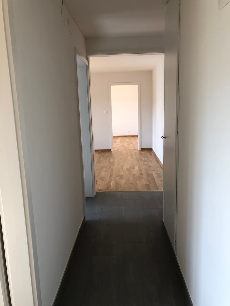 00201 - Appart. 3½ PCES - RTE BARRAGE 21 - ROSSENS FR (6)