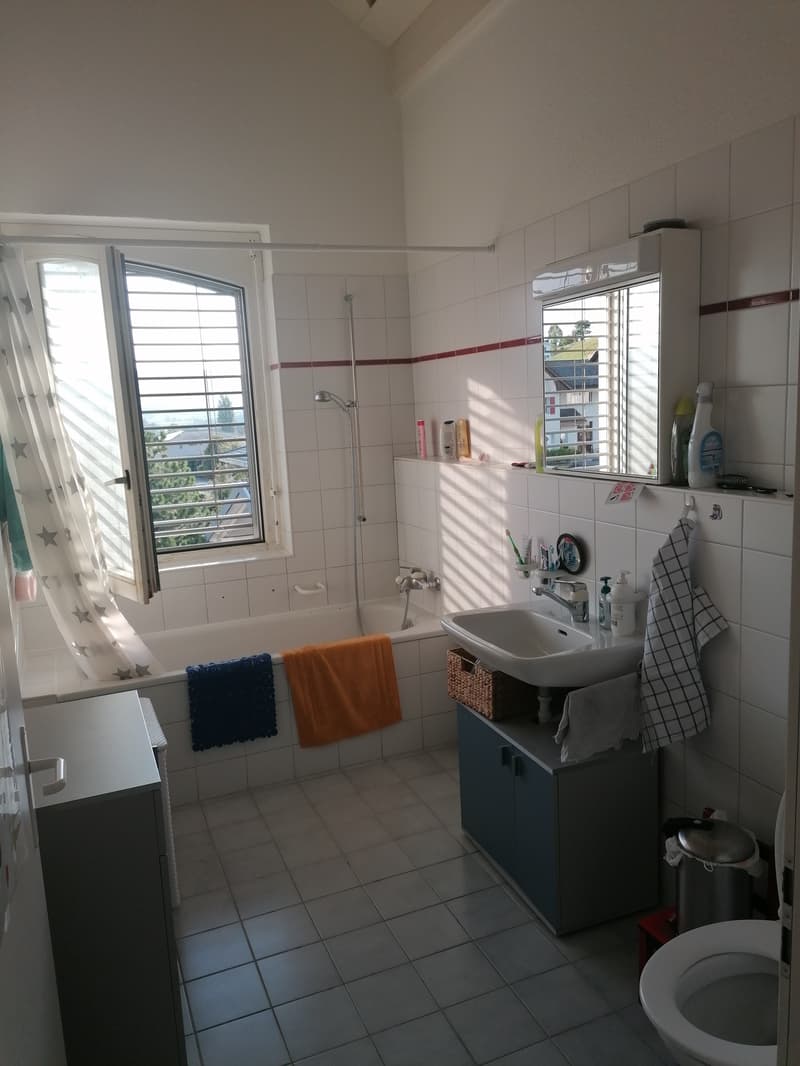 04817 - Appart. 3½ PCES - RTE TREYVAUX 2 - ARCONCIEL (11)