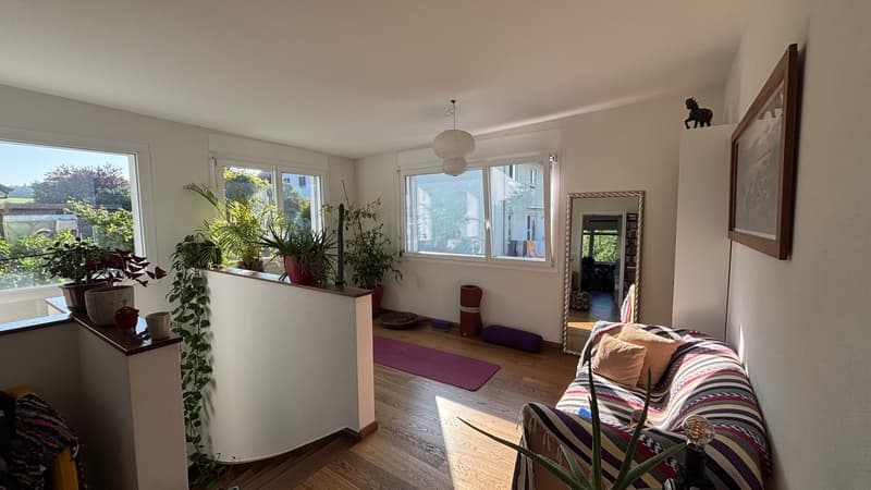 03618 - Duplex 5½ PCES - PRA-D'AVAU 21 - POSAT (11)