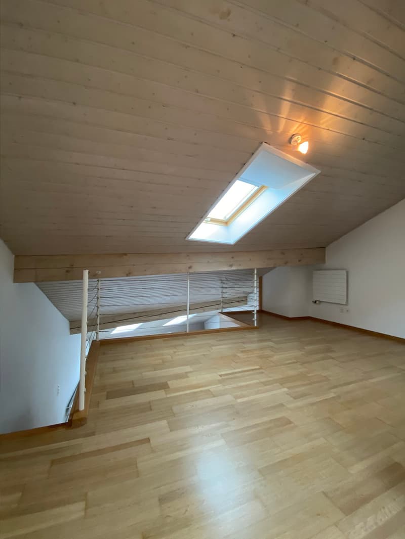 03955 - Duplex 2 PCES - PLACE PETIT ST-JEAN 35 - FRIBOURG (2)