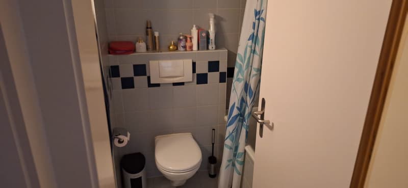 02510 - Appart. 2½ PCES - RUE LOCARNO 2 - FRIBOURG (6)