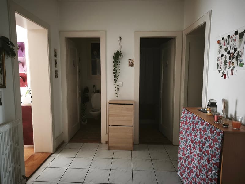 02229 - Appart. 3 PCES - BD PEROLLES 29 - FRIBOURG (5)