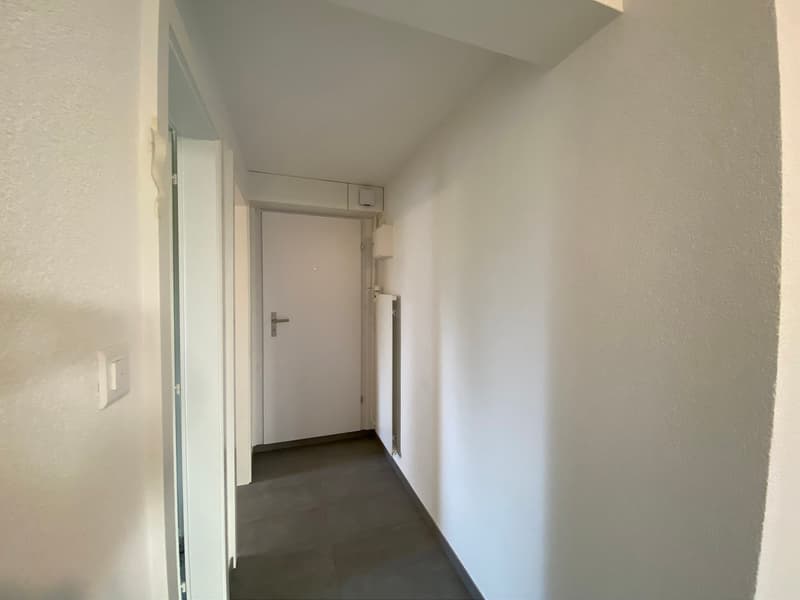 04000 - Appart. 3 PCES - RTE JOSEPH-CHALEY 18 - FRIBOURG (6)