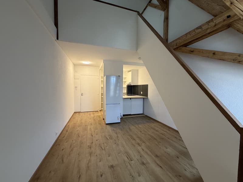 01610 - Duplex 1 PCE - CH. ECOLIERS 5 - BELFAUX (1)