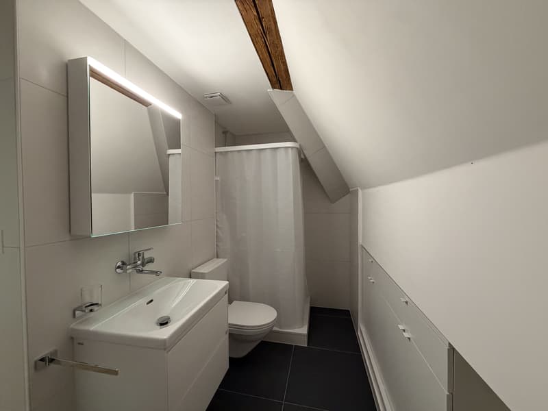 01610 - Duplex 1 PCE - CH. ECOLIERS 5 - BELFAUX (4)