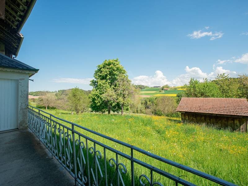 Villa atypique - Moudon (12)