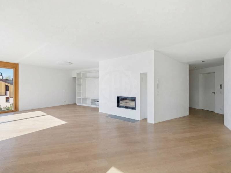 Magnifique appartement - Lutry (6)