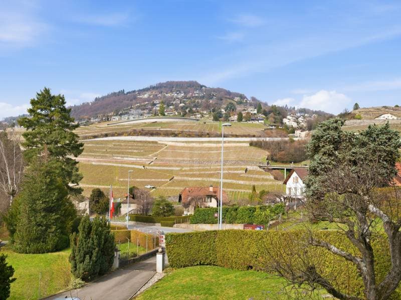 Charmant appartement - Corsier-sur-Vevey (9)