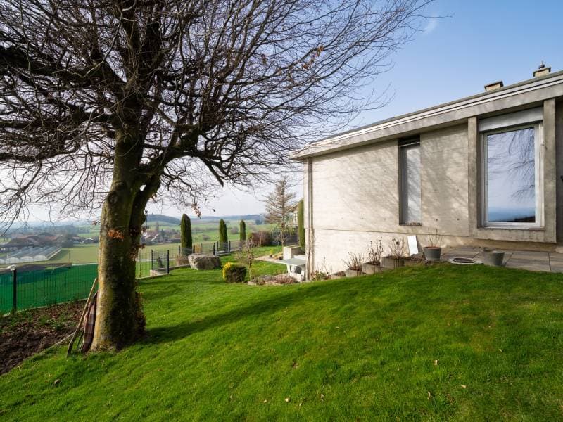 Chaleureuse villa - Cossonay-Ville (2)