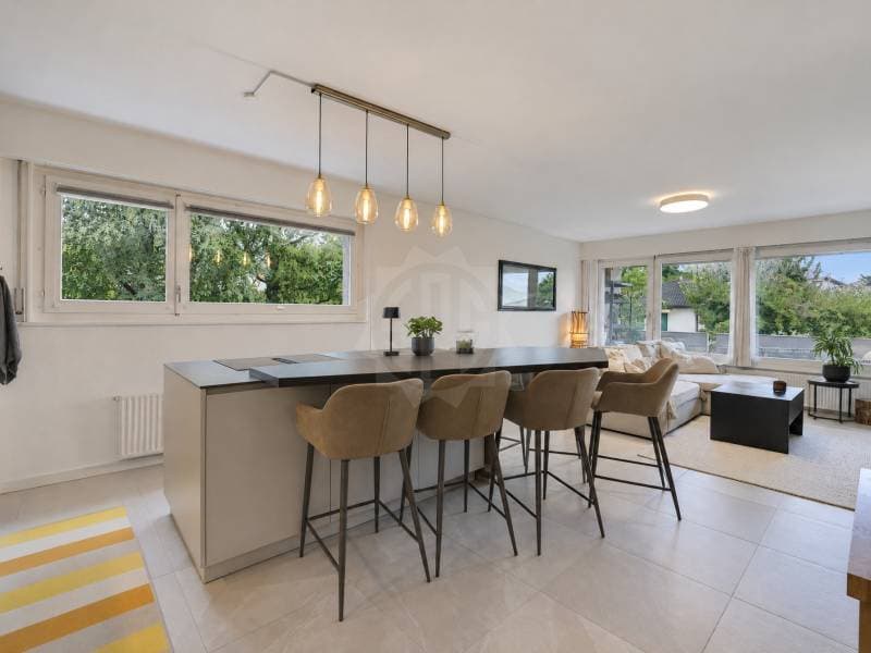 Charmant appartement - Echandens (1)