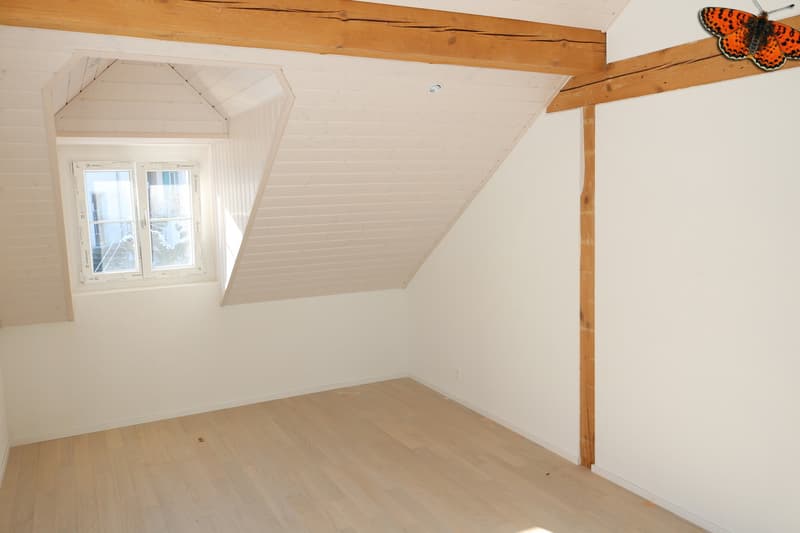 Lumineux 2½ avec cachet et terrasse de 59m²! (5)