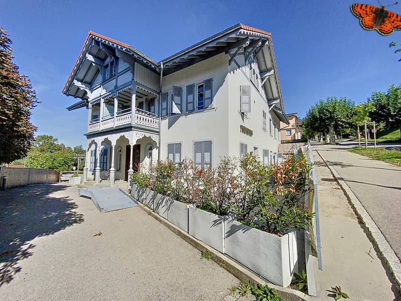 Lumineux 2½ avec cachet et terrasse de 59m²! (7)