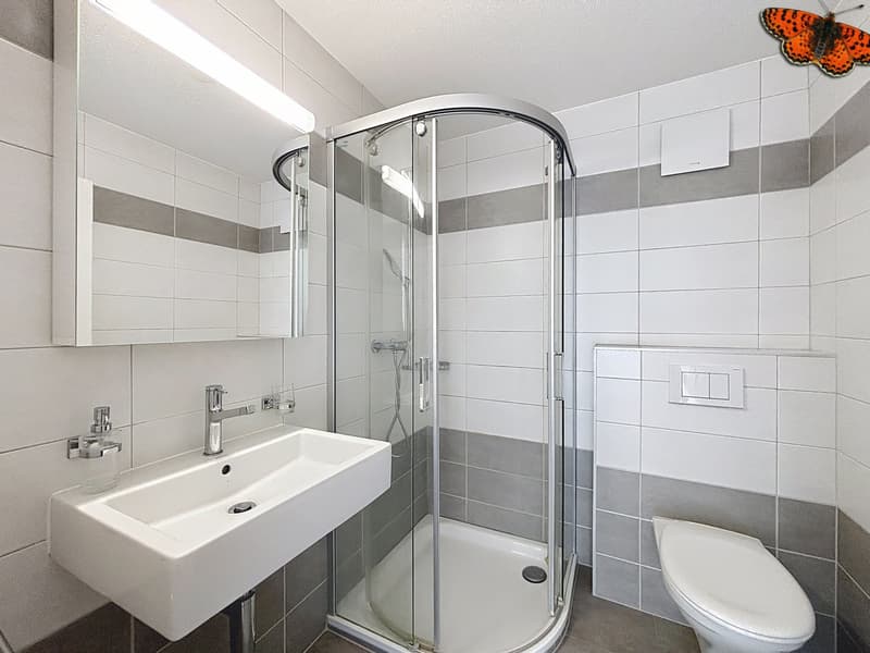 Superbe 3,5 pièces en attique avec terrasse de 51.7 m2 (12)