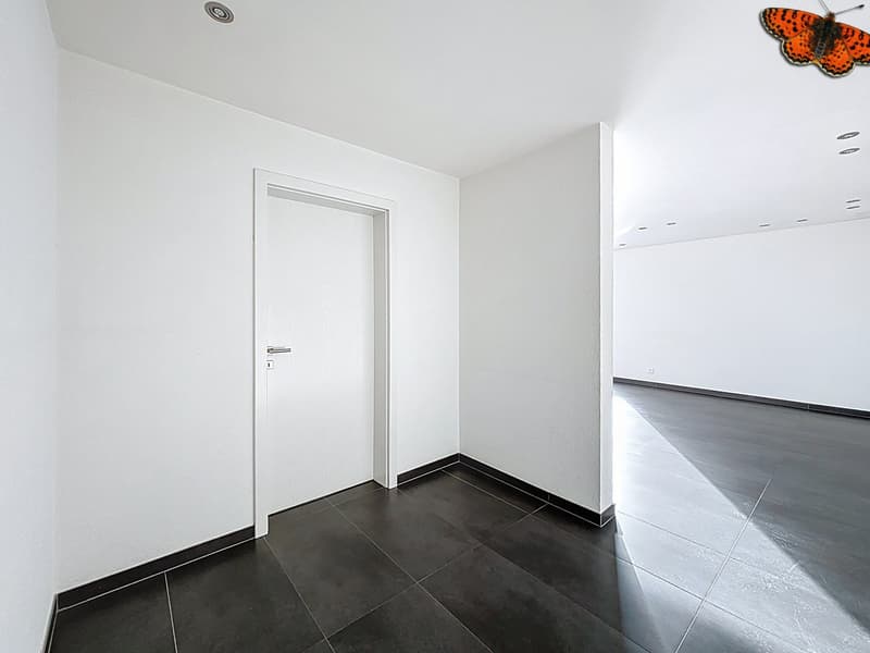 Superbe 3,5 pièces en attique avec terrasse de 51.7 m2 (5)