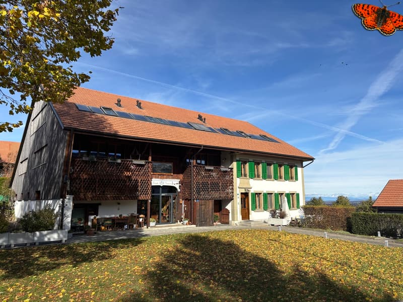 Superbe 4,5 pièces dans une ferme rénovée à Villarsiviriaux (11)