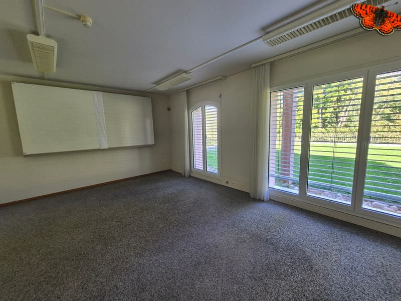 MAGNIFIQUE SURFACE COMMERCIALE DE 236m² (4)