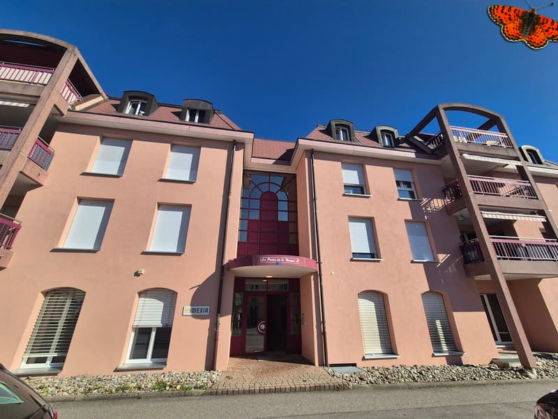 MAGNIFIQUE SURFACE COMMERCIALE DE 236m² (3)
