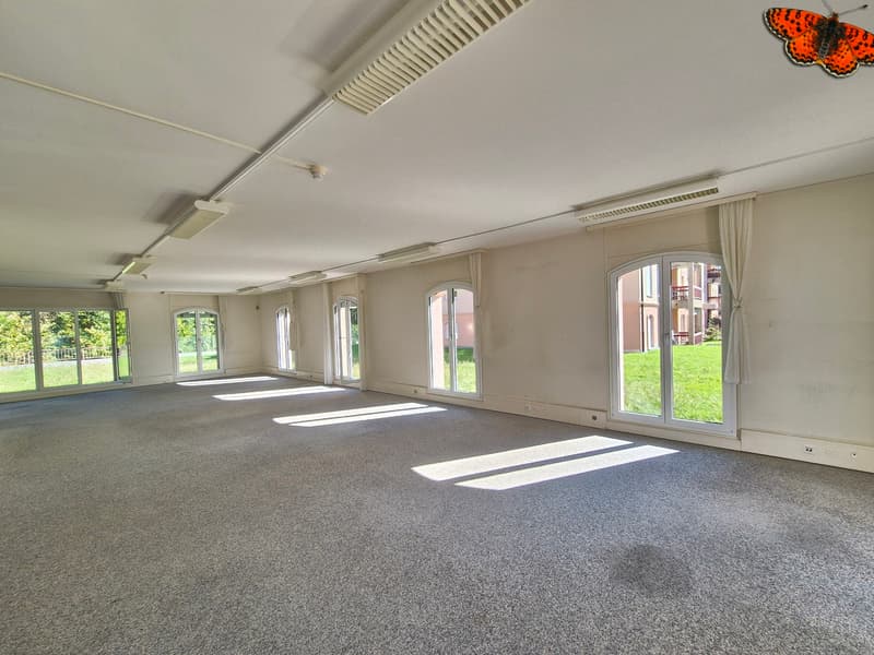 MAGNIFIQUE SURFACE COMMERCIALE DE 236m² (6)