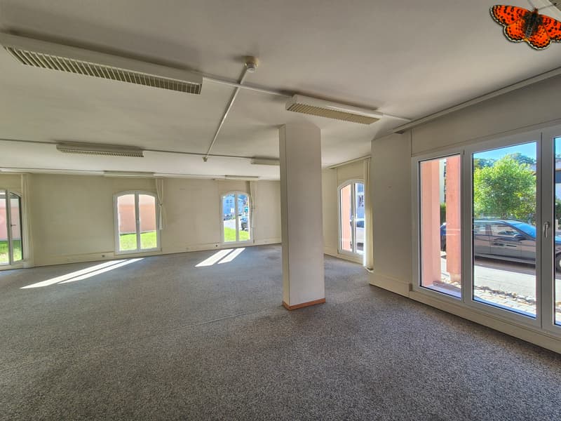 MAGNIFIQUE SURFACE COMMERCIALE DE 236m² (5)