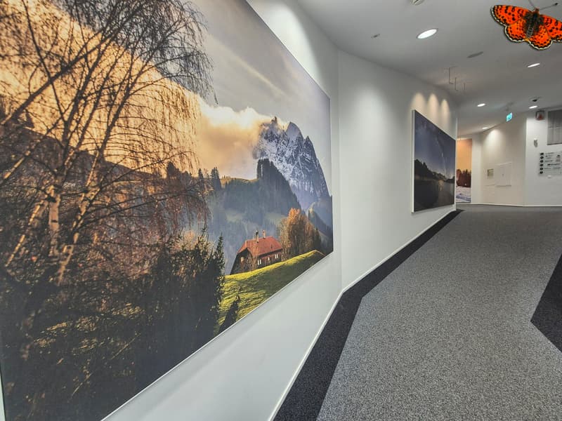 OPPORTUNITE - GRANDS BUREAUX A LOUER - BULLE (5)