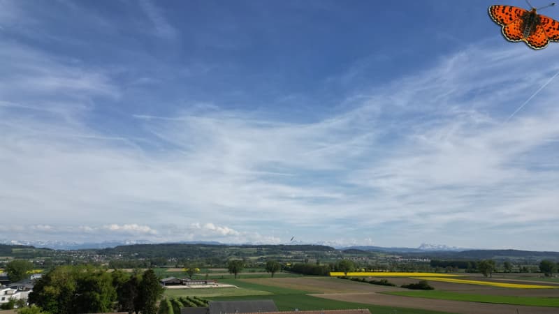 Vue depuis l'attique