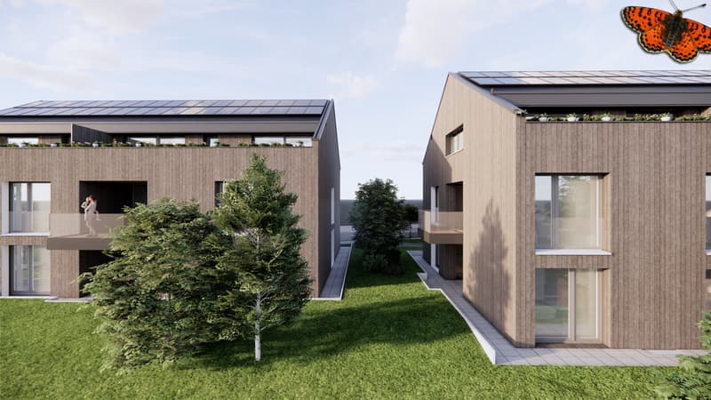 Appartement neuf de 3,5 pièces au RDC avec jardin à St-Aubin (FR) (5)
