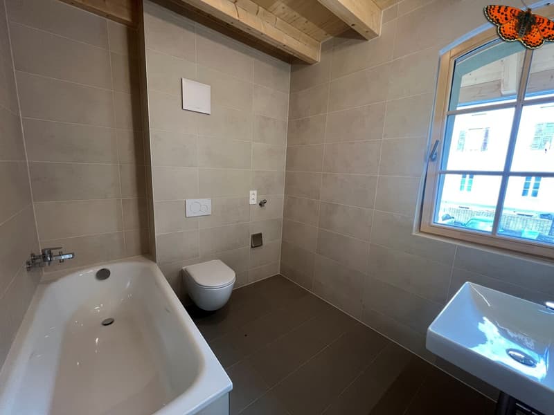 TELLE UNE PETITE MAISON SUR TROIS ETAGES A ROMONT (11)