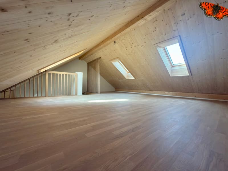 TELLE UNE PETITE MAISON SUR TROIS ETAGES A ROMONT (6)