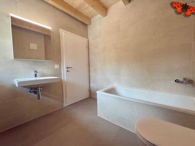 TELLE UNE PETITE MAISON SUR TROIS ETAGES A ROMONT (8)