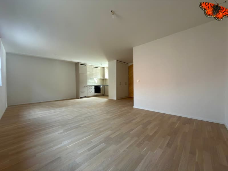 TELLE UNE PETITE MAISON SUR TROIS ETAGES A ROMONT (4)