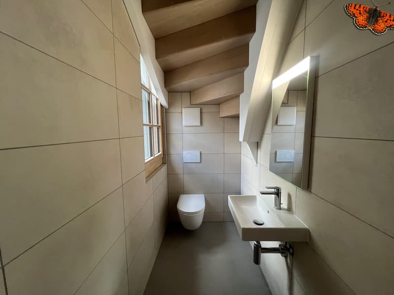 TELLE UNE PETITE MAISON SUR TROIS ETAGES A ROMONT (13)