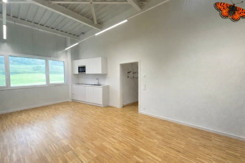 Atelier en duplex avec surface administrative (3)