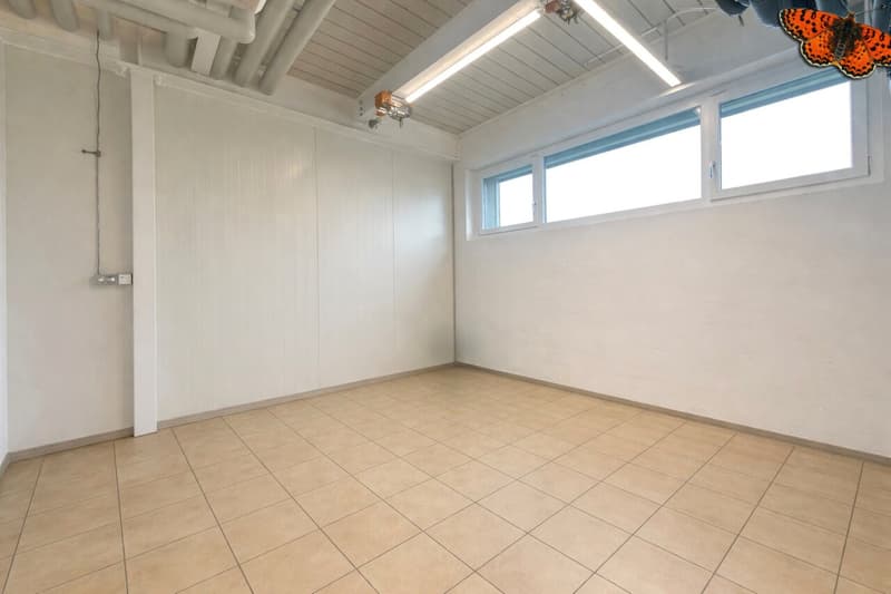 Atelier en duplex avec surface administrative (2)