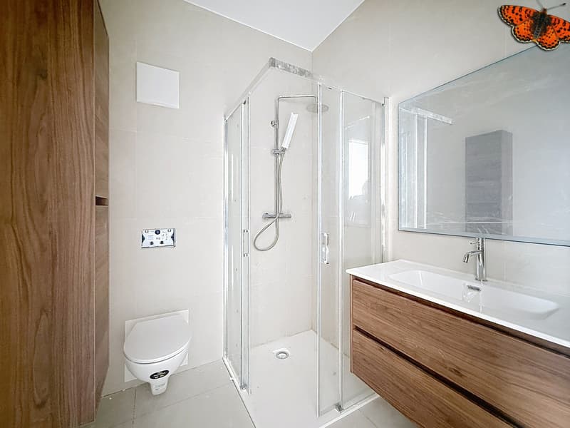 Salle de douche chambre parentale