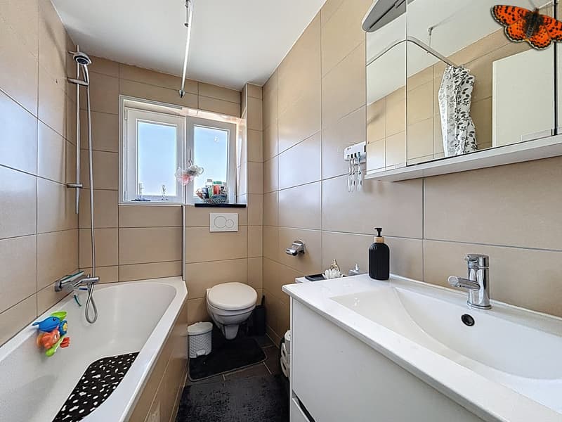 Chalet de 3 appartements à Planfayon (9)