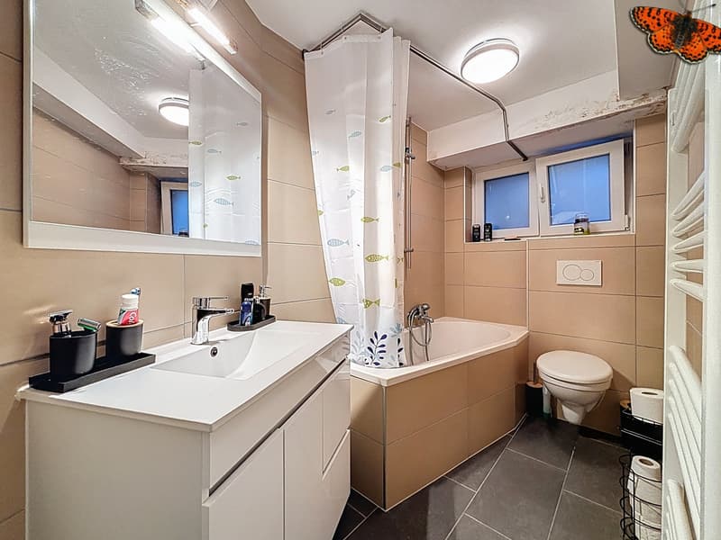 Chalet de 3 appartements à Planfayon (8)