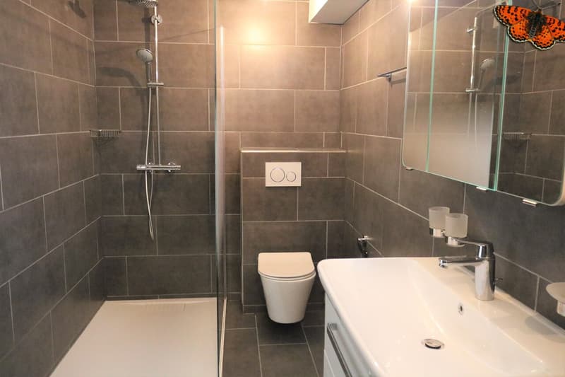 Salle de douche